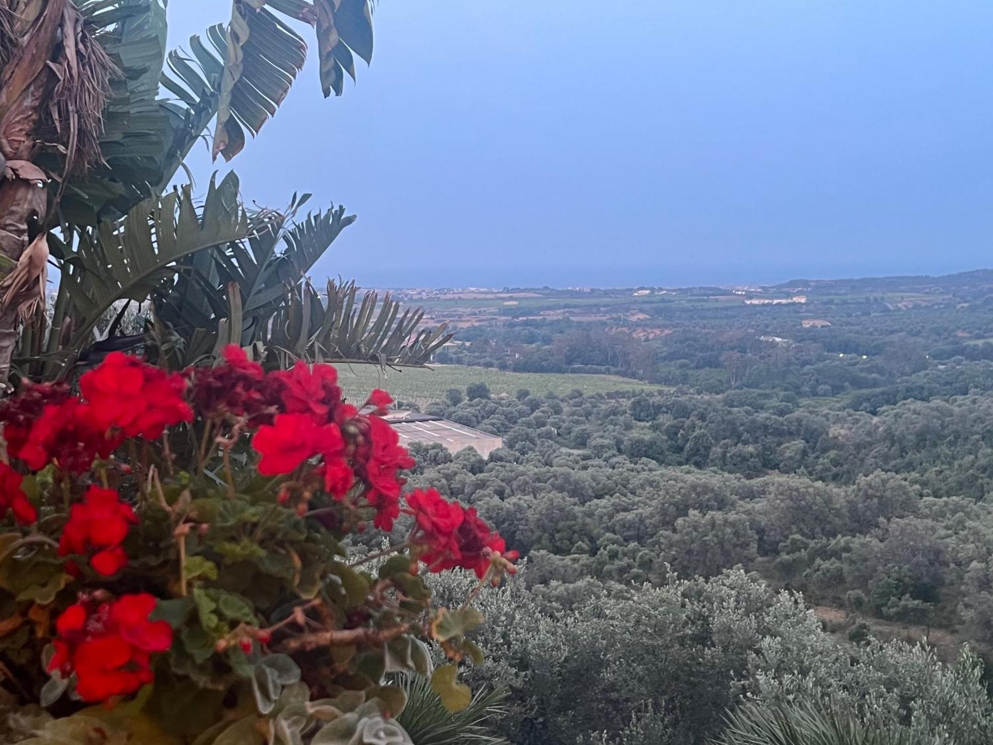 Agriturismo Catena Ciro Eksteriør billede